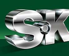 Image result for SK Logo 3D