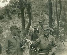 Image result for Chesty Puller Korea