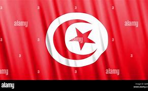 Image result for Tunisia Flag Vector