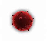 Image result for Plague Inc Evolve Fungus