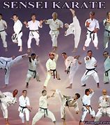 Image result for Self-Taught Karate Masters