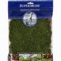 Image result for Preserved Moss
