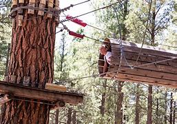 Image result for Flagstaff Extreme Adventure Course