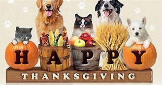 Image result for Thanksgiving Pet Clip Art