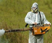 Image result for DDT Spraying Tree