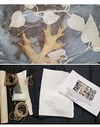 Image result for Eco Printing How To