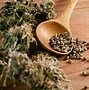 Image result for Cannabis Seeds Male or Female