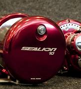 Image result for Fishing Reel