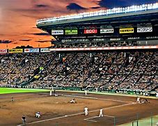 Image result for Japanese Baseball Stadiums