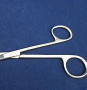 Image result for Scientific Scissors