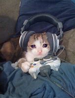 Image result for Crying Headphones Meme