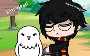 Image result for Hedwig Meme