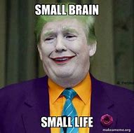 Image result for Small Brain Meme