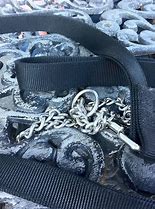 Image result for Cool Dog Leashes