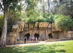 Image result for Old LA Zoo