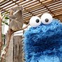 Image result for Cookie Monster Avatar