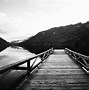 Image result for Black and White Nature Photos iPhone 11