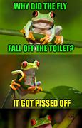 Image result for Flipping Frog Meme