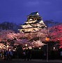 Image result for Osaka Cherry Blossom Festival