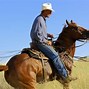 Image result for Riding Bits