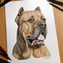 Image result for Beautiful Pencil Drawings of Dogs