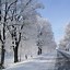 Image result for Winter Tablet Wallpaper