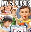 Image result for Five Senses Sensory Table Ideas