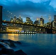 Image result for What Does It Look Like in New Yorl