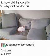 Image result for White Cat On Couch Meme