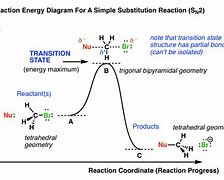 Image result for Transition State