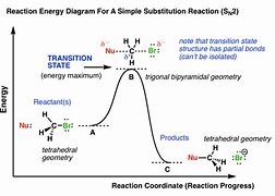 Image result for Transition State