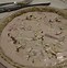 Image result for Spam Pie