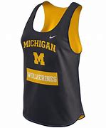 Image result for State of Michigan Nike Gear