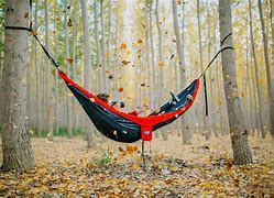 Image result for hammock