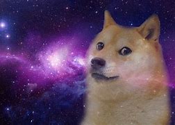 Image result for Doge Meme