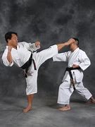 Image result for Karate for Fitness