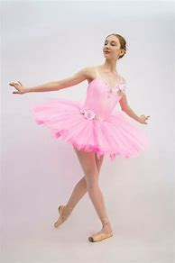 Image result for Ballerina Costume
