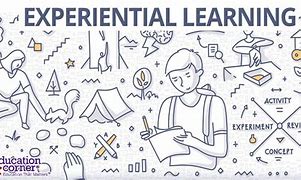 Image result for Experiential Learning Cartoon