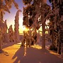 Image result for winter