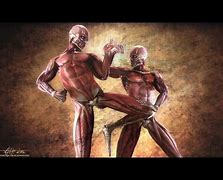Image result for Fight Styles