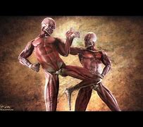 Image result for top 10 toughest fighting styles