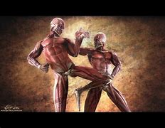 Image result for top 10 toughest fighting styles