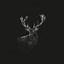 Image result for Deer Black and White Photography