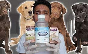 Image result for Parvo Medicine