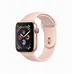 Image result for Apple Watch Series 6 44Mm LTE