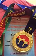 Image result for Taekwondo Gold Medal