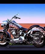 Image result for Harley-Davidson Pics