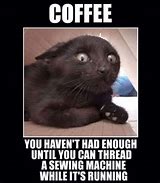 Image result for Too Much Caffeine Cat Meme