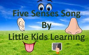 Image result for 5 Senses Toddler Song