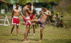 Image result for Muay Thai Martial Arts